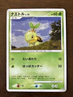 超希少極‼️ ナエトルハヤシガメドダイトスプロモ幻カード3枚