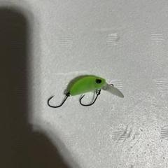 2025年最新】管釣り 引退の人気アイテム - メルカリ