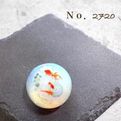 帯留 No.2720 匿名発送 - メルカリ