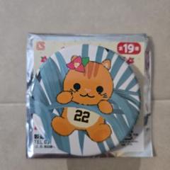即購入◯ジャイアンツ宮崎キャンプ#小林誠司リスがコバ缶バッチ