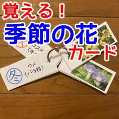 2025年最新】サピックス 理科 植物カードの人気アイテム - メルカリ