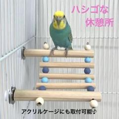 ミニマム♡様オーダー品 小鳥のステージ（とまり木）　［匿名配送］ はち様オーダー品 小鳥のステージ（とまり木） セット ［匿名