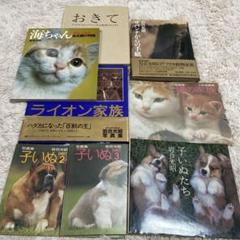 ライオン家族 岩合光昭 写真集8点