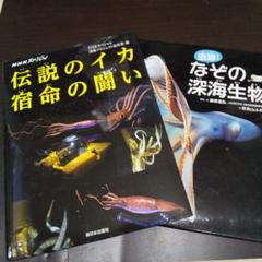 【２冊組】深海生物の本（伝説のイカ宿命の闘い）