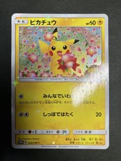 ピカチュウ　みんなでいわう　20th　プロモ　224/SM-P ピカチュウ ポケセン20周年記念プロモ 224/sm-p みんなでいわう