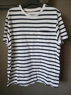 ボーダーTシャツ　4枚セット