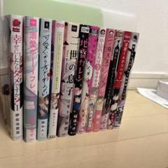 ボーイズラブ漫画セット 商業BL まとめ売り 12巻セット