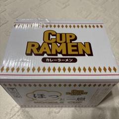 CUP RAMEN カレーラーメン カップサイズ