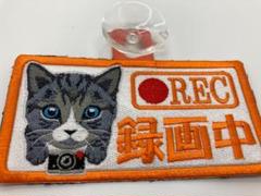 ドライブ レコーダー ステッカー 吸盤タイプの中古 未使用品 メルカリ ドライブ レコーダー ステッカー 吸盤タイプの中古 未使用品 メルカリ