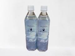 クラブエコウォーター　ライフエッセンス　600ml 2本 ポタポタクラブ エコウォーター ライフエッセンス 600ml 2本セット