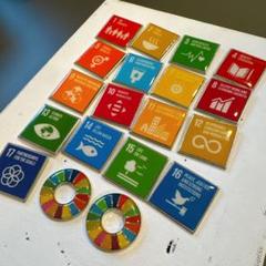 2025年最新】sdgs バッジの人気アイテム - メルカリ
