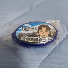 中川圭太 ラバーコインケース