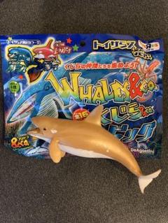 2025年最新】くじら&coビッグ コンプリートの人気アイテム