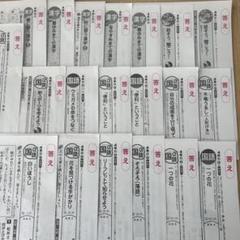 国語 α 前期 5年 カラーテスト 新学社 『未使用』 小学5年 国語 カラーテスト 新学社