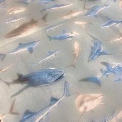 魚柄綿生地 サメ 110×200