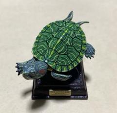 ♯Gyi16RZネイチャーテクニMONOミドリガメストマグネット変則4種 ミドリガメ
