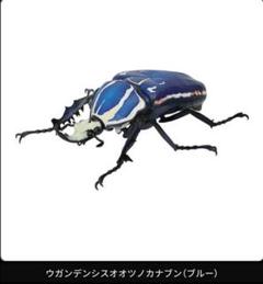 2025年最新】ウガンデンシスの人気アイテム - メルカリ