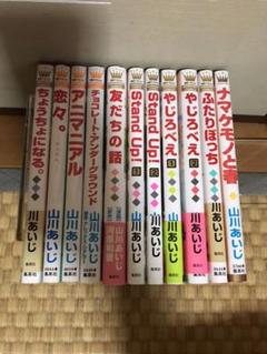 山川あいじの中古 未使用品 メルカリ