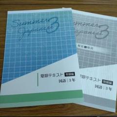 中3国語 夏期テキスト 発展編 教育開発出版 未使用品 送料無料！