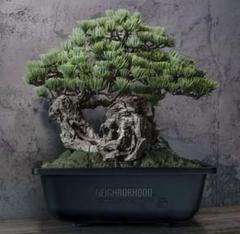 ネイバーフッド×バンダイスピリッツ　盆栽プラモ　ツールセット　未開封 neighborhood srl bandai bonsai 盆栽 ツールセット