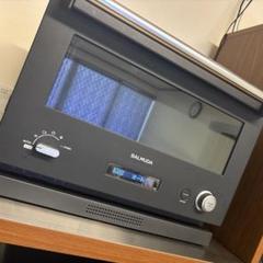 2025年最新】バルミューダ レンジ ジャンクの人気アイテム