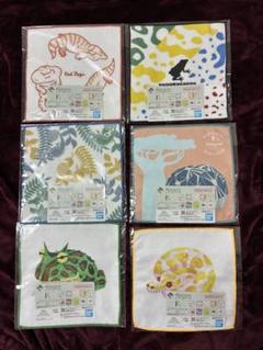 一番くじ 爬虫類&両生類 vol.2 F賞 タオルコレクション 6枚セット