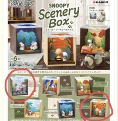 PEANUTS SNOOPY シーナリーボックス 2種セット
