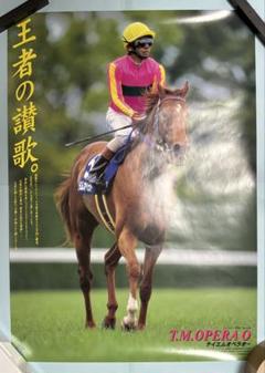 ヒーロー列伝　シーザリオ　B3ポスター Yahoo!オークション - JRAポスター ヒーロー列伝NO.61