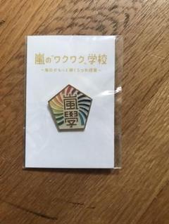 嵐のワクワク学校 ピンバッジ 2012年製 - メルカリ