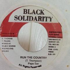 レゲエレコード★Papa San / RUN THE COUNTRY