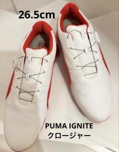 2025年最新】PUMA ゴルフ シューズ(男性用)の人気アイテム