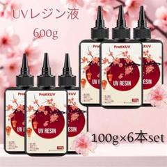 透明感抜群 レジン液 6本セット 600g UV/LED対応 気泡無し DIY