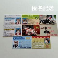 なめ猫　カードセット　免許証　会員証等　匿名配送