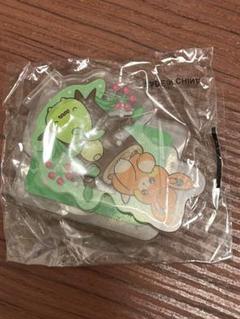 韓国限定 ポケモン ポップアップ アクリルペンホルダー パモ ミニーブ