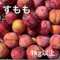 【ラスト】 すもも プラム 3.3キロ すもも 3キロ 鹿児島産 無農薬 プラム 最終SALE！ - メルカリ