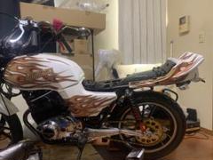 gsx250e ゴキ　外装 gsx250e ゴキ 外装 ぎょうぎょうしく