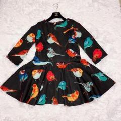 ZARA 鳥 プリント フレア ワンピース カラフル 総柄 マルチ