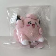 【韓国限定】ポケモンタウン 2025 ぬいぐるみ&キーリング 韓国限定 ポケモンタウン 2025 ぬいぐるみ＆キーリング 2体