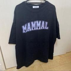 mammal ジュキヤブランド 緑 ボアパーカー 2025年最新】mammalジュキヤの人気アイテム - メルカリ