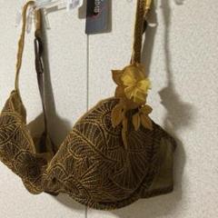 レア】Ravage 刺繍入りブラジャー フランス製高級インポート下着