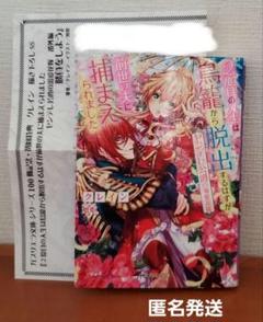 2度目の人生は鳥籠から脱出するはずが前世の夫に捕まえられました　クレインTL小説