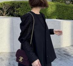 cygne とんがらないラメトップス Evelyne シーニュ　新品