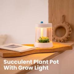 【新品】FTOYIN 多肉植物 ナイトライト ホワイト