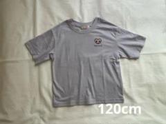 しまむら クロミ Tシャツ 半袖 120cm