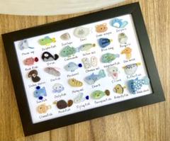 シーグラスアート☆No.399 図鑑 海の生き物 ギフト プレゼント