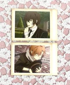 2025年最新】文豪ストレイドッグス ぱしゃこれ 中原中也の人気