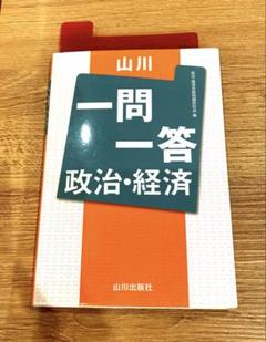 山川一問一答 政治・経済