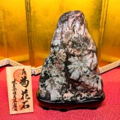 （321）根尾の菊花石赤菊、白菊2点セット 321）根尾の菊花石赤菊、白菊2点セット