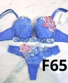 サルート F65 ソングM