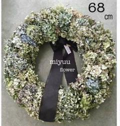 ハンドメイド ドライフラワー 紫陽花 アジサイ リース 巨大 ビッグ 大きい